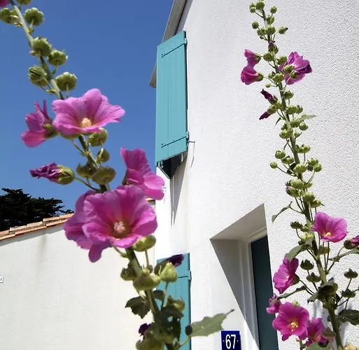 Odalys Les Hauts De Cocraud La Flotte